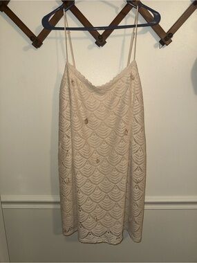 wild fable Cream Lace Slip with Scalloped Neckline